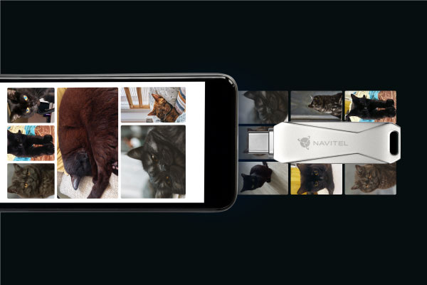 NAVITEL Flash_Double_64 03